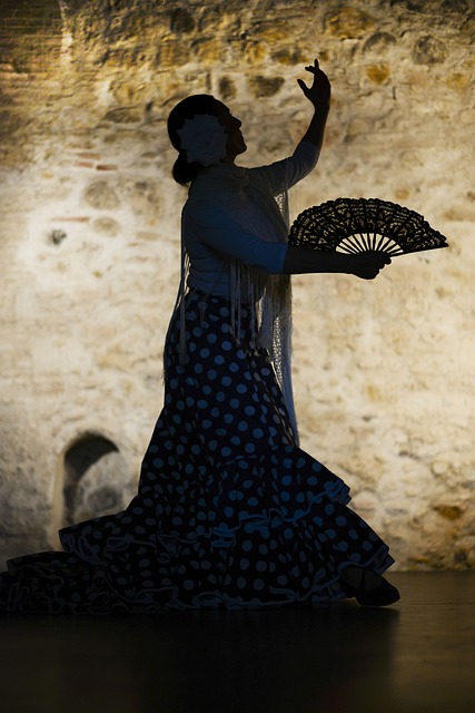 flamenco, sevilla, dan, spanish, seville, andalusia, dance, culture, andalucia, brown dance, brown culture, brown dancing, flamenco, flamenco, flamenco, flamenco, flamenco