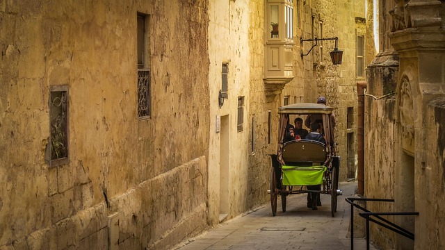 horse-drawn carriage, transport, team, historical, antique, mdina, malta, game of thrones, location, neon green, sandstone, mdina, mdina, mdina, mdina, mdina